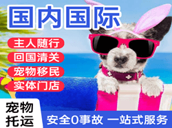 哈尔滨平房航空物流国际宠物托运 【国